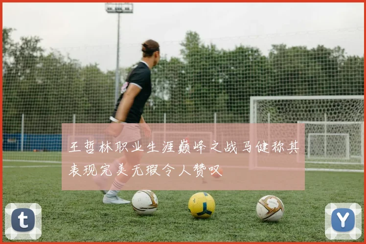 王哲林职业生涯巅峰之战马健称其表现完美无瑕令人赞叹