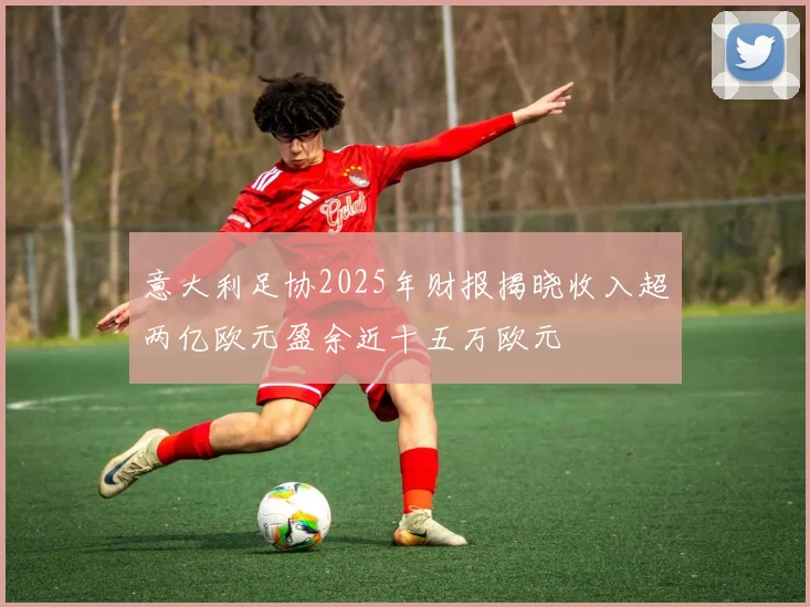 意大利足协2025年财报揭晓收入超两亿欧元盈余近十五万欧元